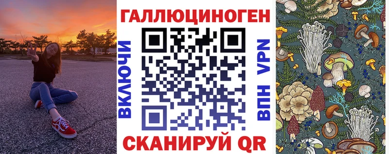 Купить где  Радужный  Псилоцибиновые грибы Psilocybine cubensis 